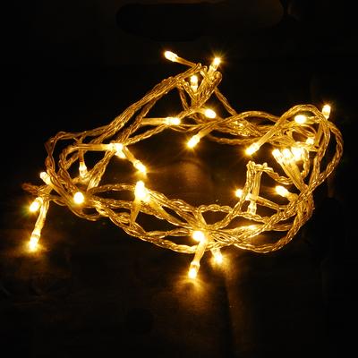 Warm White LED Christmas Holiday Party Lights (10M 100 LED)